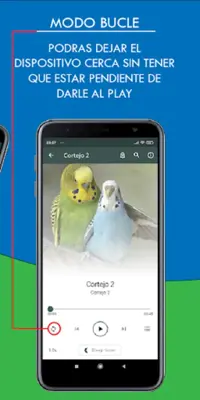 Canto Perico Australiano android App screenshot 2